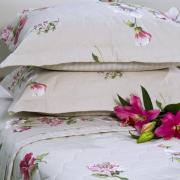 Kit: 1 Cobre-leito Queen + 2 Porta-travesseiros Percal 180 fios 100% Algodo - Aruba Bege - Dui Design