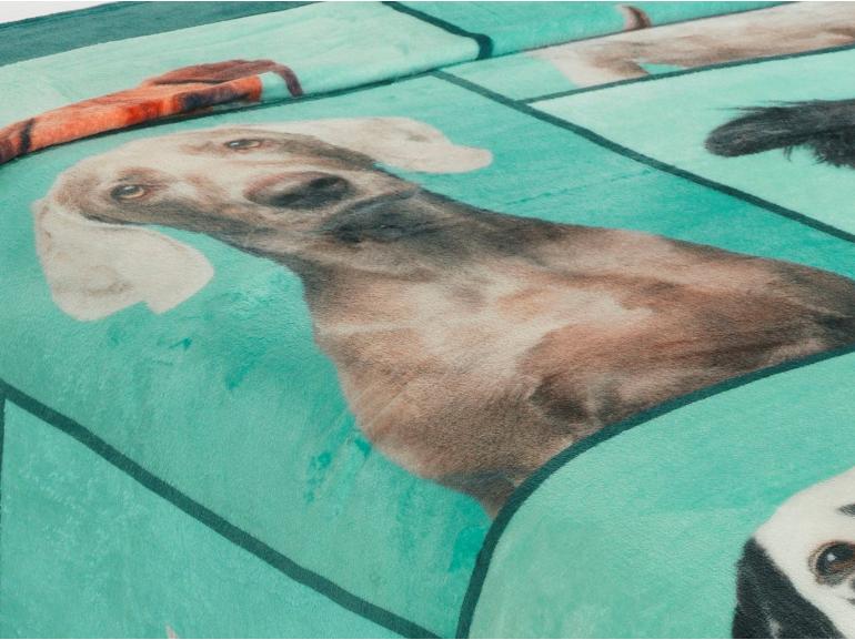 Cobertor Avulso Queen Flanelado com Estampa Digital 260 gramas/m - Big Dogs - Dui Design