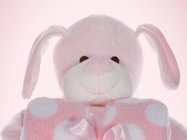 Manta Microfibra Infantil 70x100cm com Bichinho de Pelcia Antialrgico - Cachorro - Kacyumara