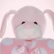 Manta Microfibra Infantil 70x100cm com Bichinho de Pelcia Antialrgico - Cachorro - Kacyumara