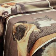 Cobertor Avulso King Flanelado com Estampa Digital 300 gramas/m - Carinho Pet - Dui Design