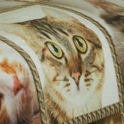 Cobertor Avulso Solteiro Flanelado com Estampa Digital 260 gramas/m² - Cat Faces - Dui Design