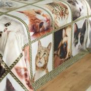 Cobertor Avulso Casal Flanelado com Estampa Digital 260 gramas/m - Cat Faces - Dui Design