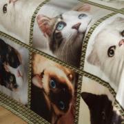 Cobertor Avulso Solteiro Flanelado com Estampa Digital 260 gramas/m - Cat Faces - Dui Design