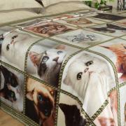 Cobertor Avulso King Flanelado com Estampa Digital 260 gramas/m - Cat Faces - Dui Design