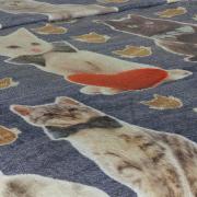 Cobertor Avulso King Flanelado com Estampa Digital 260 gramas/m² - Cat Jeans - Dui Design