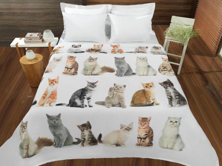 Eu só quero sair com meu gato siamês, Amante Animal, Cobertores de cama de  verão, Idéia do presente, Cobertor do jogo - AliExpress