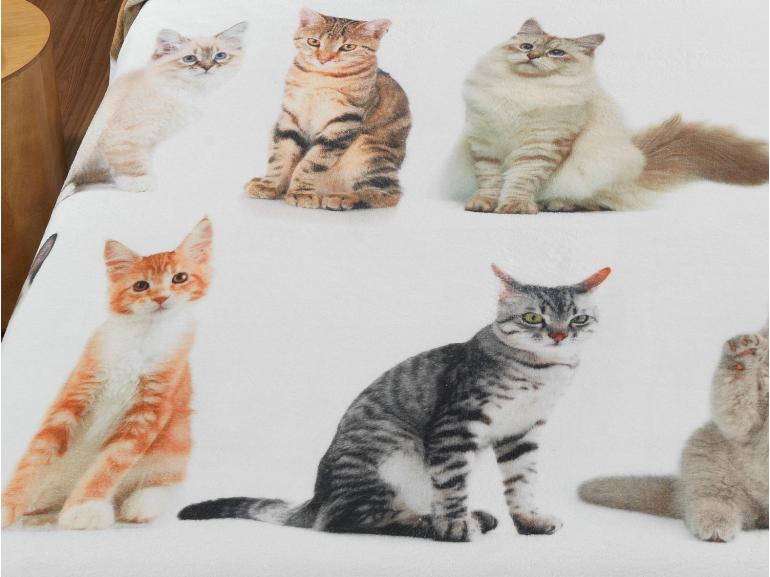 Cobertor Avulso Queen Flanelado com Estampa Digital - Cats - Dui Design