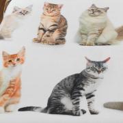 Cobertor Avulso Solteiro Flanelado com Estampa Digital - Cats - Dui Design