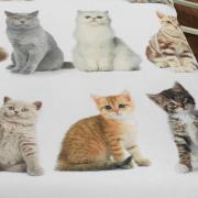 Cobertor Avulso Casal Flanelado com Estampa Digital - Cats - Dui Design