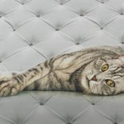 Cobertor Avulso Casal Flanelado com Estampa Digital - Dog e Cat - Dui Design