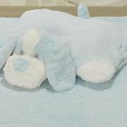 Kit: 1 Cobertor Baby Pele de Carneiro Sherpa + 1 Almofada Baby Kids de Bichinhos - Dog Azul Sherpa - Dui Design
