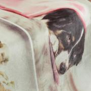 Cobertor Avulso Solteiro Flanelado com Estampa Digital 300 gramas/m - Dog Dream - Dui Design