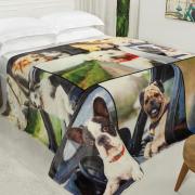 Cobertor Avulso Casal Flanelado com Estampa Digital 260 gramas/m - Dog Driver - Dui Design