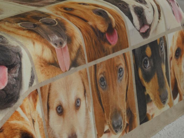 Cobertor Avulso Queen Flanelado com Estampa Digital 260 gramas/m² - Dogs Faces - Dui Design