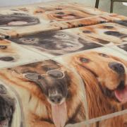 Cobertor Avulso Queen Flanelado com Estampa Digital - Dogs Faces - Dui Design