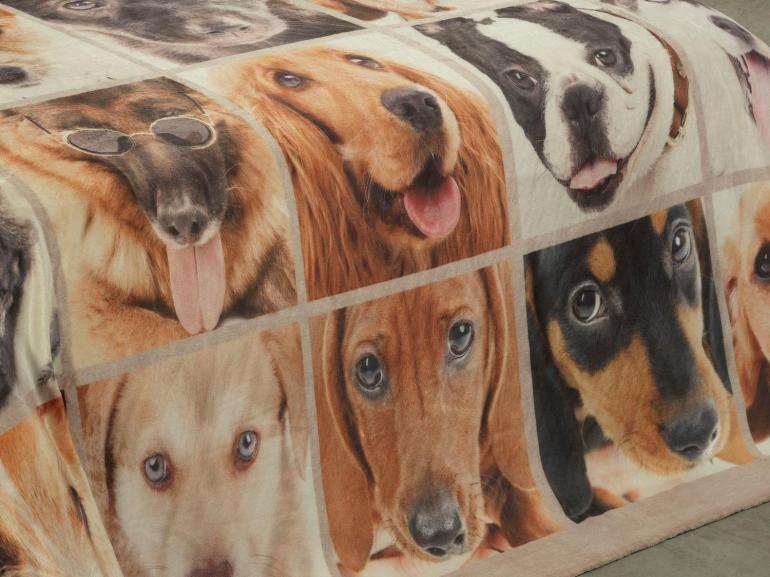 Cobertor Avulso King Flanelado com Estampa Digital - Dogs Faces - Dui Design