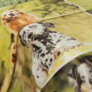 Cobertor Avulso Solteiro Flanelado com Estampa Digital 300 gramas/m - Dogs Garden - Dui Design