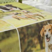 Cobertor Avulso Solteiro Flanelado com Estampa Digital 300 gramas/m - Dogs Garden - Dui Design
