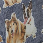Cobertor Avulso Queen Flanelado com Estampa Digital 260 gramas/m² - Dogs Jeans - Dui Design