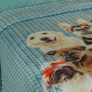 Cobertor Avulso Solteiro Flanelado com Estampa Digital 260 gramas/m² - Dogs Tricot Azul - Dui Design