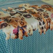 Cobertor Avulso Solteiro Flanelado com Estampa Digital 260 gramas/m² - Dogs Tricot Azul - Dui Design