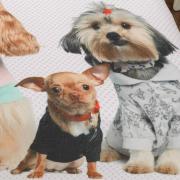 Cobertor Avulso King Flanelado com Estampa Digital - Fancy Pets - Dui Design