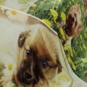 Cobertor Avulso Queen Flanelado com Estampa Digital 300 gramas/m - Flower Dog - Dui Design