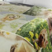 Cobertor Avulso King Flanelado com Estampa Digital 300 gramas/m - Flower Dog - Dui Design