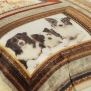 Cobertor Avulso Queen Flanelado com Estampa Digital 260 gramas/m - Pets Memories - Dui Design