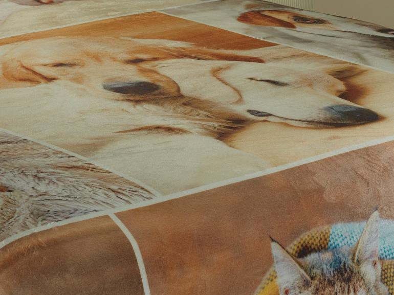 Cobertor Avulso Queen Flanelado com Estampa Digital 260 gramas/m² - Pets Time - Dui Design