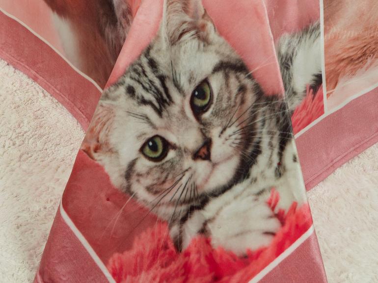 Cobertor Avulso Solteiro Flanelado com Estampa Digital 260 gramas/m² - Pink Cats - Dui Design
