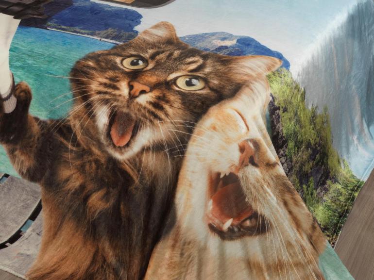 Cobertor Avulso Queen Flanelado com Estampa Digital 300 gramas/m - Selfie Cats - Dui Design