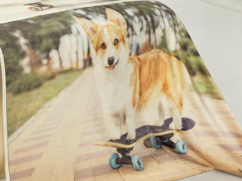 Cobertor Avulso King Flanelado com Estampa Digital 300 gramas/m - Skate Dog - Dui Design