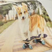Cobertor Avulso Queen Flanelado com Estampa Digital 300 gramas/m - Skate Dog - Dui Design