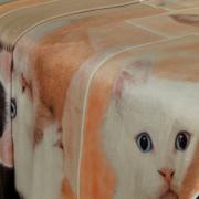 Cobertor Avulso King Flanelado com Estampa Digital 260 gramas/m² - Sweet Cats - Dui Design
