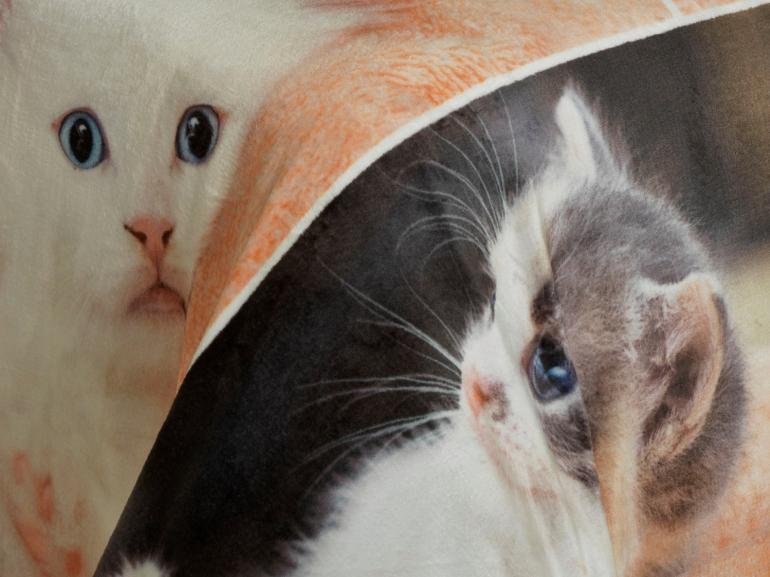 Cobertor Avulso Casal Flanelado com Estampa Digital 260 gramas/m² - Sweet Cats - Dui Design