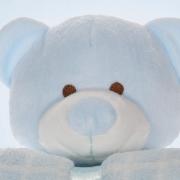Manta Microfibra Infantil 70x100cm com Bichinho de Pelcia Antialrgico - Ursinho - Kacyumara