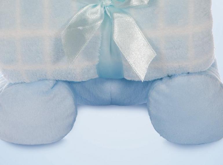 Manta Microfibra Infantil 70x100cm com Bichinho de Pelcia Antialrgico - Ursinho - Kacyumara