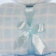 Manta Microfibra Infantil 70x100cm com Bichinho de Pelcia Antialrgico - Ursinho - Kacyumara